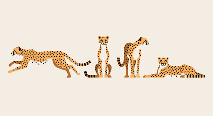 Cheetahs in various poses with transparent background © LAILATUS