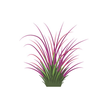 grass vector