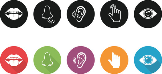 Human senses icon set featuring sight, hearing, touch, smell, and taste symbols in colored circular designs