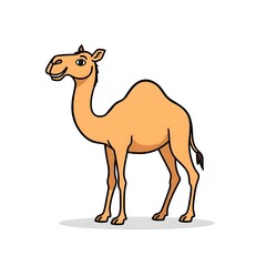 Cute cartoon camel character illustration on white background