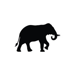 Obraz premium Elephant step silhouette icon vector flat design.