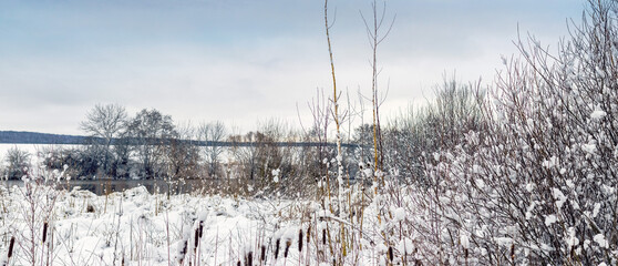 Winter rural landscape with snow-covered plants and trees against blue sky