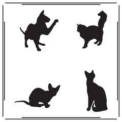 A big collection of cat silhouette set, cat silhouette logo isolated on white background.    © JK Stock