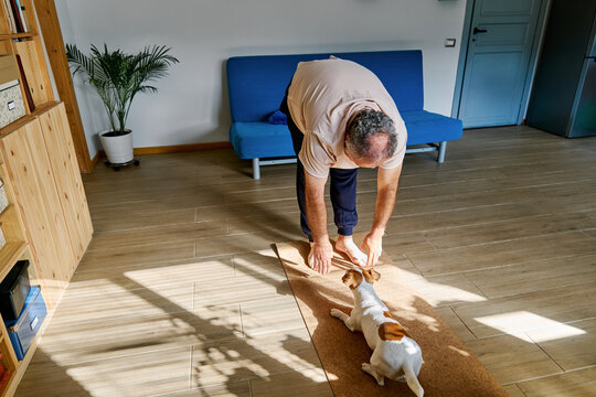 Mature man Doing stretching yoga exercise on fitness mat with his Jack Russell Terrier dog at home. Healthy lifestyle for wellness.