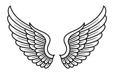 Pair of elegant spread wings vector illustration isolated on white background