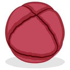 oina ball vector illustration drawing.