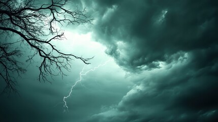 Gnarled dead branches clawing at a turbulent sky with lightning during a storm