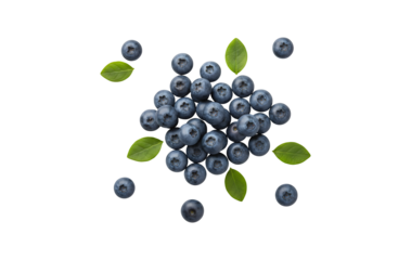 Blueberries with their leaves set against a white backdrop