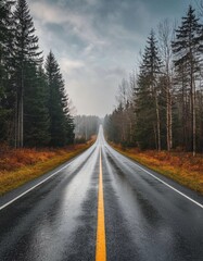 A road with trees on both sides and a yellow line. The road is wet and there is fog in the background