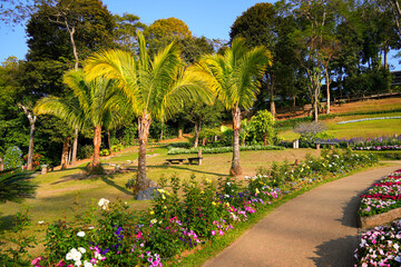 Fototapeta premium Walkway in the Mae Fah Luang Garden with vibrant floral terraces in Doi Tung near Chiang Rai, Northern Thailand