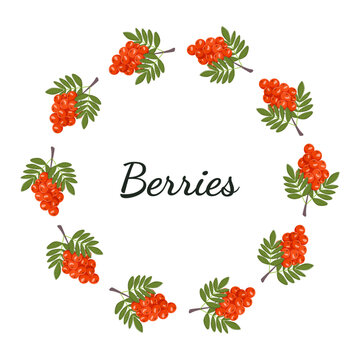 Circular frame made of rowan berries and green leaves. Botanical wreath for autumn design, invitations, seasonal branding, labels, greeting cards and decorative layouts.