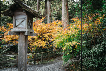 日本神話：神聖な森と川（神宮・五十鈴川）