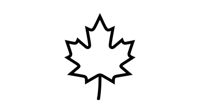 Simple Black Outline of Maple Leaf 1.