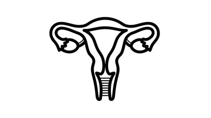 Simple Line Drawing of Uterus Anatomy.