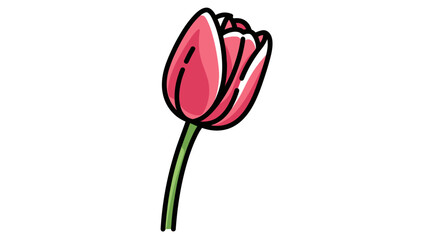 Single Pink Tulip Flower Illustration.