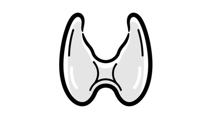 Thyroid Gland Anatomy Illustration.