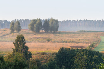 Poranny widok na mglisty krajobraz © ikrak