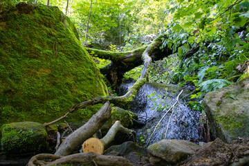 Strumień wody spływający kaskadą między omszonymi skałami © ikrak