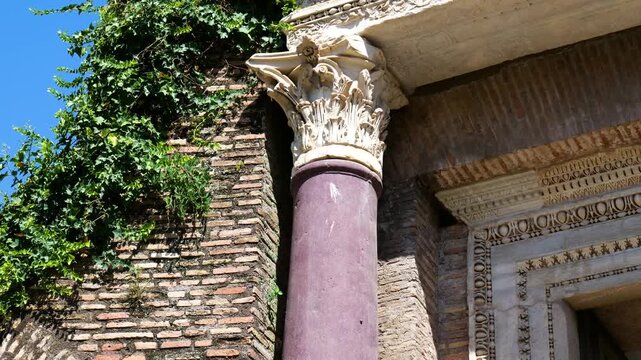 ancient roman purple stone column ornate corinthian capital marble entablature ivy covered brickwork glows tempio del divo romolo up close rome italy empire emperor 