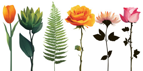 Colorful flower bouquet with tulip, rose, and daisy on white background