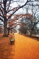 autumn in the park