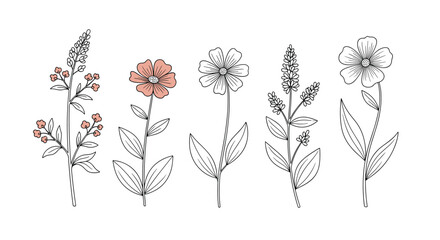 Set of five hand drawn wildflower sketches with delicate line work and soft pink highlights on a clean white background for art.