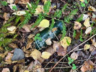 Discarded Glass Bottle in Forest Leaves.
Abandoned glass bottle lying among fallen leaves and ferns in forest, concept of environmental pollution.