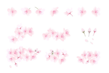 桜の花が咲いている様子のイラストと桜の花の素材(桜の花はそれぞればらばらに動かせます)