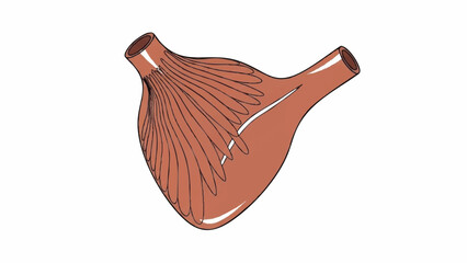 Anatomical Illustration of the Human Pectoral Muscle Showing Striations and Tendon Attachments