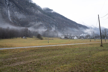 bosco prato e pianure