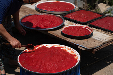 Woman preparing fresh homemade tomato paste, spreading ripe red tomato puree in large trays for traditional sun drying outdoors, a method preserving summer harvest