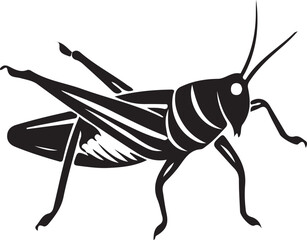 Vector illustration of a green grasshopper silhouette and macro locust insect isolated on a white background featuring close-up details of its antenna and legs as the wild jumping creature