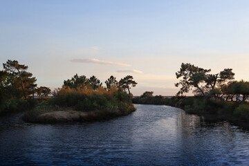 Seaside landscape in summer during a walk