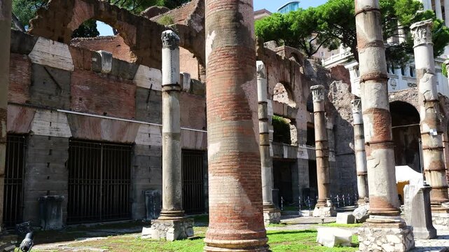 another roman forum colonnaded ruins tall columns mixed materials massive brick arches varied textures palimpsest character reflect adaptation foro di cesare view rome italy empire emperor 