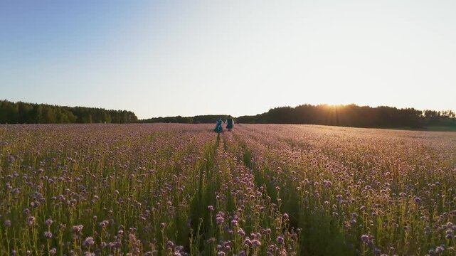 Kaszub i kaszubka w polu facelii FPV