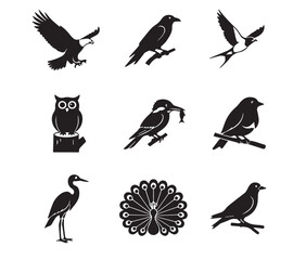 Obraz premium Bird Vector Icon Set - Minimalist Eagle, Owl, Peacock, and Songbird Wildlife Silhouette Collection