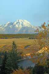 Early morning view of the sunlit Tetons with the Snake River in the foreground, Grand Teton National Park, Wyoming  USA
