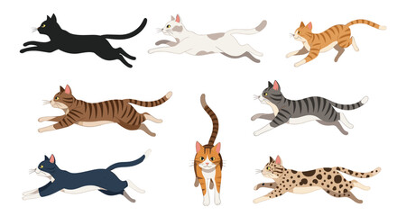 Obraz premium A dynamic collection of eight cats of various breeds and colors, all captured in a fast running or jumping motion, on white.