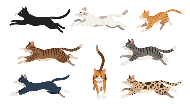 A dynamic collection of eight cats of various breeds and colors, all captured in a fast running or jumping motion, on white.