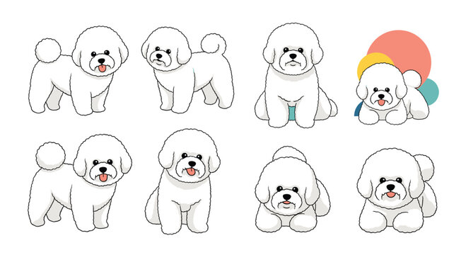 Cute collection of cartoon Bichon Frise dogs in various poses, isolated on white. This character set is perfect for stickers, pet care branding, or dog lover designs.