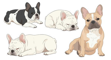 Fototapeta premium Set of detailed French bulldog illustrations in various resting and sleeping poses, shown in different colors. This calm pet collection is isolated on a white background.