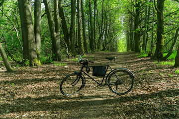 Vintage bicycle parked on a forest trail surrounded by trees. Old style bicycle resting on a sunlit woodland path symbolizing outdoor adventure and eco friendly travel.