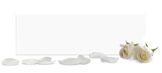 White sheet of paper with space for text. In front of it are scattered petals and buds of  white...