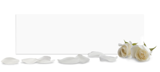 White sheet of paper with space for text. In front of it are scattered petals and buds of white rose. Isolated on transparent background. Greeting card for birthday, Mother's Day, or weddings. PNG