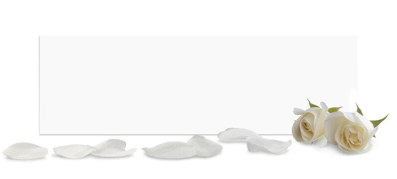 White sheet of paper with space for text. In front of it are scattered petals and buds of  white rose. Isolated on  transparent background. Greeting card for birthday, Mother's Day, or weddings. PNG - Powered by Adobe