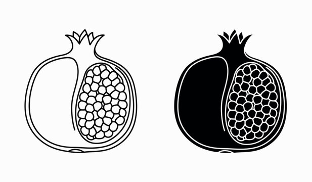 A detailed illustration showcases two contrasting depictions of a halved pomegranate fruit design high-quality professional