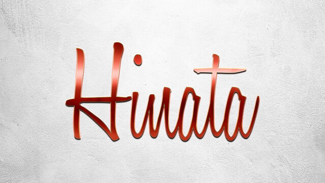 Red 3D text effect of Japanese name Hinata on silver background.