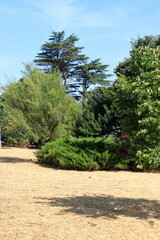 Jardins de Lisboa e a sua arquitectura