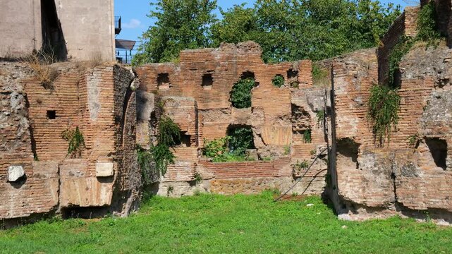 sunlit weathered ancient roman brick wall rectangular openings eroded niches ivy trees rise behind green grass stadio palatino view rome italy empire emperor 