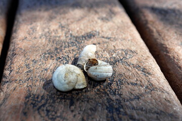 Jardins de Lisboa e a sua arquitectura